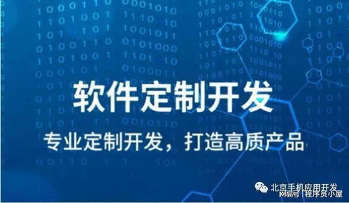 原生开发与Web App深度对比 为您的项目选择最优解